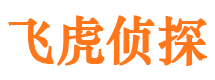 诸城市调查公司